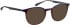 Bellinger FOX sunglasses in Brown/Blue