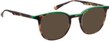 Bellinger FOX sunglasses in Brown/Green