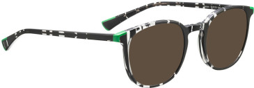 Bellinger FALCON sunglasses in Black