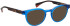 Bellinger DAYTON sunglasses in Blue