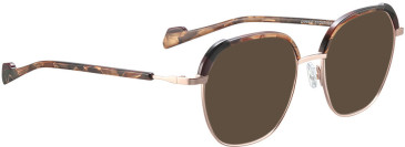 Bellinger CROWN-8 sunglasses in Brown-Gold