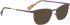 Bellinger CHARM sunglasses in Grey