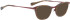 Bellinger ARC-1 sunglasses in Bordeaux