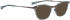 Bellinger ARC-1 sunglasses in Brown