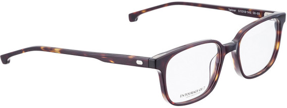 ENTOURAGE OF 7 TANNER glasses in Brown Pattern