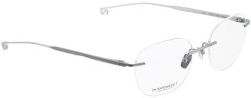 ENTOURAGE OF 7 ICONS-7007 glasses in Matt Silver