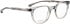 ENTOURAGE OF 7 HANK-L glasses in Grey