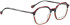 BELLINGER LESS-ACE-2010 glasses in Grey