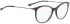 BELLINGER LESS1888 glasses in Black