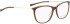 BELLINGER LESS1816 glasses in Brown Transparent 2