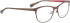 BELLINGER GHOST glasses in Matt Brown