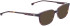 ENTOURAGE OF 7 TANNER sunglasses in Brown Pattern