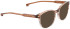 ENTOURAGE OF 7 PERLA sunglasses in Brown Pattern
