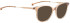 ENTOURAGE OF 7 LOLA sunglasses in Brown Transparent