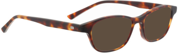 ENTOURAGE OF 7 LINDSAY sunglasses in Tortoise