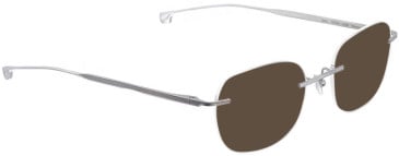 ENTOURAGE OF 7 ICONS-7007 sunglasses in Matt Silver