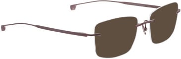 ENTOURAGE OF 7 ICONS-7005 sunglasses in Matt Brown
