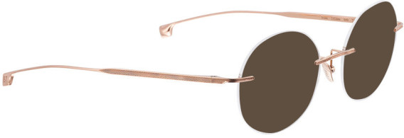 ENTOURAGE OF 7 ICONS-7001 sunglasses in Rose Gold