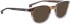 ENTOURAGE OF 7 HANK-L sunglasses in Brown 2