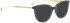 ENTOURAGE OF 7 HAILEY sunglasses in Blue Transparent