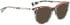 BELLINGER TWIGS-3 sunglasses in Grey Pattern