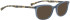 BELLINGER MOOD sunglasses in Blue Dots