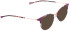 BELLINGER LESS1983 sunglasses in Purple