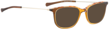 BELLINGER LESS1812 sunglasses in Brown Transparent