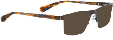BELLINGER CLASSICO-3 sunglasses in Brown
