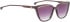 ENTOURAGE OF 7 CORRAL sunglasses in Red