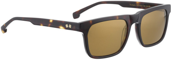 ENTOURAGE OF 7 ROCKPILE sunglasses in Dark tortoise