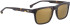 ENTOURAGE OF 7 ROCKPILE sunglasses in Dark tortoise