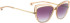 ENTOURAGE OF 7 SWEETWATER sunglasses in Brown transparent