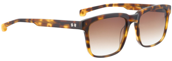 ENTOURAGE OF 7 WARNER sunglasses in Brown Pattern