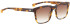 ENTOURAGE OF 7 WARNER sunglasses in Brown Pattern