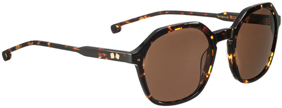 ENTOURAGE OF 7 TEMECULA sunglasses in Brown