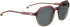 ENTOURAGE OF 7 TEMECULA sunglasses in Red