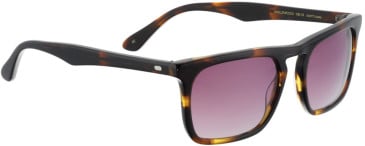 ENTOURAGE OF 7 INGLEWOOD sunglasses in Brown