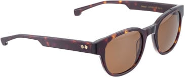 ENTOURAGE OF 7 BEACON sunglasses in Brown Pattern