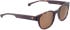 ENTOURAGE OF 7 BEACON sunglasses in Brown Pattern