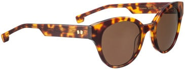 ENTOURAGE OF 7 ALTADENA sunglasses in Brown