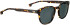ENTOURAGE OF 7 ACTON sunglasses in Brown