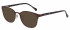 Ted Baker Sunglasses TB2232 in Brown