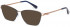 Ted Baker TB2245 sunglasses in Blue