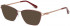 Ted Baker TB2245 sunglasses in Burgundy