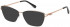 Ted Baker TB2245 sunglasses in Black