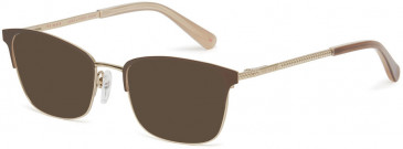 Ted Baker TB2251 sunglasses in Brown