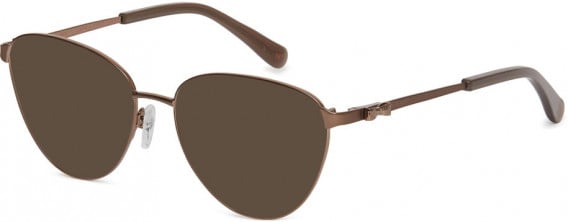 Ted Baker TB2252 sunglasses in Taupe