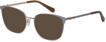 Ted Baker TB2256 sunglasses in Grey