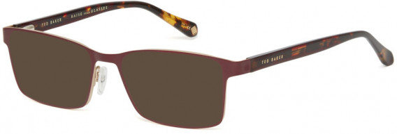 Ted Baker TB4278 sunglasses in Burgundy